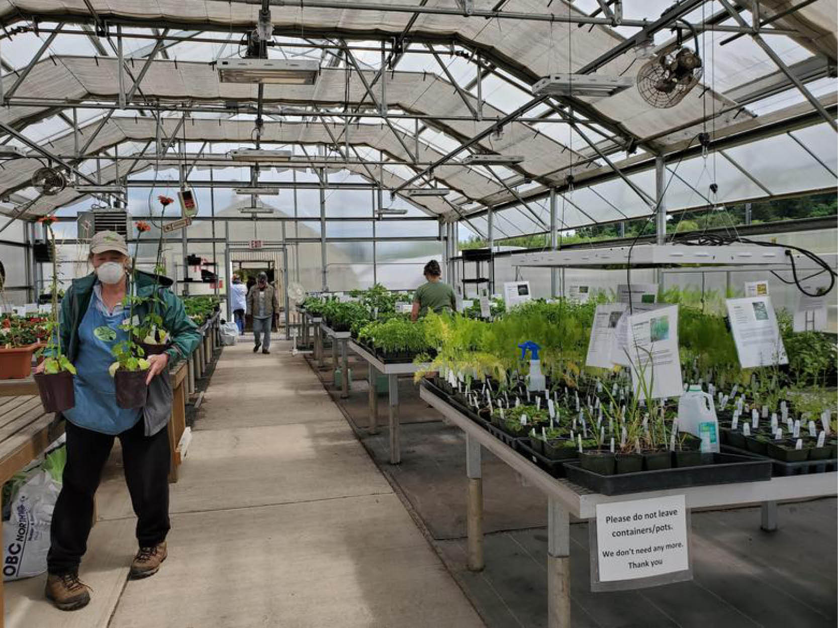 Woman carrying plants in a greenhouse at the 2021 MGF Annual Plant Sale